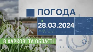 Прогноз погоди в Харкові та Харківській області на 28 березня