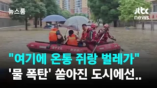 "여기에 온통 쥐랑 벌레가"…'물 폭탄' 쏟아진 도시에선 / JTBC 뉴스룸