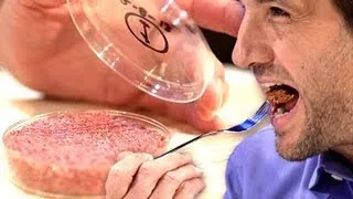 First "Test Tube" Burger Tastes Like Real Meat
