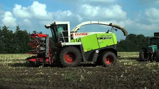 Claas Jaguar 890 Speedstar