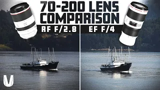 Canon 70-200 Showdown. RF vs EF Which is better?