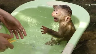 Moly Sitting In Pool To Bathing And Shout Request Pacifier From Mom