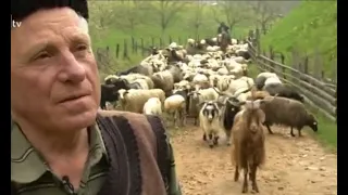 Родопският овчар Минчо Гърбелов от с. Смилян