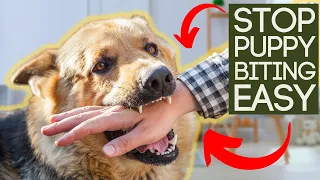 STOP PUPPY BITING IN SECONDS