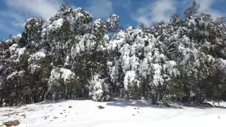 Ifrane, la ville suisse du Maroc, en hiver