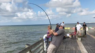 Hitting Jackpot at FISHING Pier / 15 + SHARKS caught