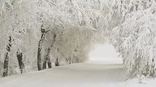 Georgy Sviridov - Snowstorm | piano