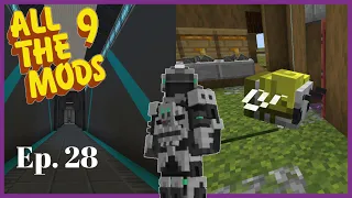 All The Mods 9 - Ep28 -  Starry Bee and Advanced SMDs