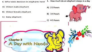 Quiz (Test yourself) A day with Nandu Class IV / EVS / EXTRA QUESTIONS