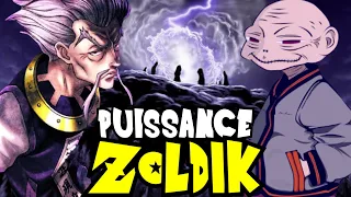 CLASSEMENT par PUISSANCE de la FAMILLE ZOLDIK ! - Hunter X Hunter