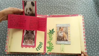 scrapbook ideas|wildlife scrapbook|wildlife scrapbook ideas|animal scrapbook|🦁🐯