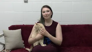 Paws for Thought Episode 469 - Meet Daphne and Landslide!