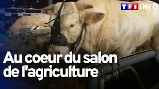 Le salon de l'agriculture comme si vous y étiez