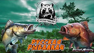 Русская рыбалка 4, За рыбой, общение, розыгрыши...(2 трофея на Архипе)!