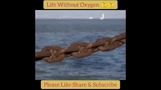 Life Without Oxygen 🤔 || Haider tv | Zem tv || #shorts #youtubeshorts