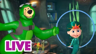 🔴 AO VIVO 👱♀️🐻 Masha e o Urso 📚 Continua... 🤗🙌 Masha and the Bear