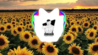 Summer Vibes House Mix by Jablon (Disco Lines , Anyme , Armin, Nikos Vertis )