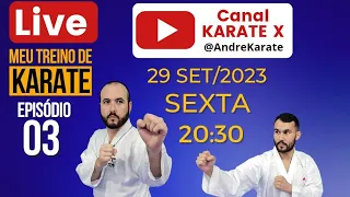 MEU TREINO DE KARATE | 03 LIVE - Técnicas de luta AO VIVO