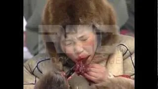 REC Stock Footage, Nenet children eating Reindeer