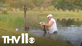 Florida man saves his puppy from alligator attack
