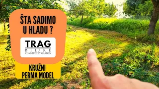 ŠTA SADIMO U HLADU?  KRUŽNI PERMA MODEL (2022) [TRAG BILJKE]