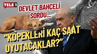 "Aklı başında tek bir insan evladı dahi köpeklerin öldürülmesini istemez"