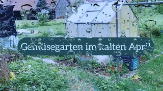 Gemüsegarten im kalten April