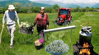 Grandma Making Acacia Flower Water and Flower Jam - 100% NATURAL