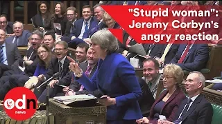 "Stupid woman": Jeremy Corbyn's angry reaction to Theresa May's pantomime jibes