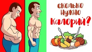 Сколько нужно калорий чтобы похудеть