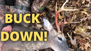 New York Deer Hunting! BUCK DOWN After 1 Day of SCOUTING!