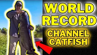 WORLD RECORD American Channel Catfish(The Biggest Ever)