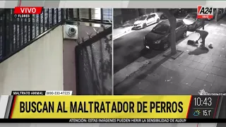 IMÁGENES SENSIBLES: Buscan al maltratador de perros de Flores