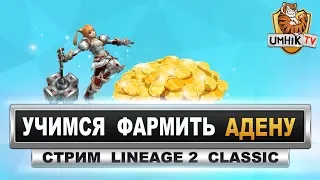 Lineage 2 Classic [Shillien]. Учимся фармить адену, спойл Клинка Берсерка