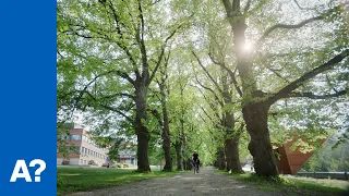 Welcome to Aalto University campus!