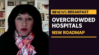 NSW reopening may lead to ICU collapse, new modelling predicts | ABC News