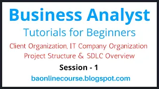 Business Analyst Tutorials for Bebinners | Client Organization | Project Structure | IT Company Org