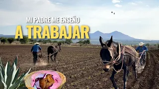 "YO EN EL RANCHO TENGO TODO PARA SER FELIZ, MI FAMILIA, MI TIERRA Y MIS ANIMALITOS PARA TRABAJAR"