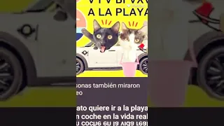 mis videos favoritos de luna y estrella