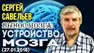 «ВЫНОС МОЗГА #29»: «Устройство мозга». 27.01.2018. Савельев С.В.