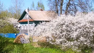 Рыбалка на Унже. Жизнь в глухой деревне Костромской. Ночной призрак разрушенного храма.