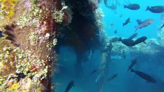 GoPro HD3 Black - Underwater Short Test.mp4