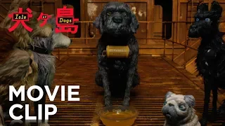 ISLE OF DOGS | "Dog Zero" Clip | FOX Searchlight