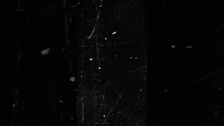 Black Background With Scratch And Dust Screen Overlay #overlay #background #film #grunge #black