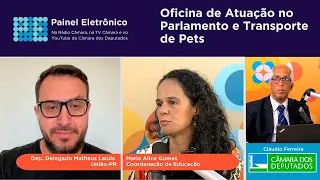 Deputado defende que animais sejam transportados na cabine dos aviões - 02/05/2024 #PainelEletrônico