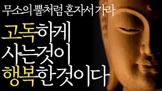 석가모니 명언 | 인생조언 | 나이들수록 인생이 잘풀리는 사람들의 공통점 | 무소의 뿔처럼 혼자서 가라|나이들수록 혼자가 되어야 하는 이유|불교 오디오북 낭독 처세 관계 ASMR