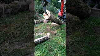 Erster Versuch Brennholz zu spalten mit Bagger und Aufreisszahm