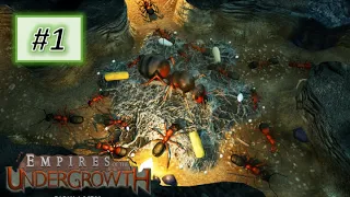 Empires of the Undergrowth #1:  New Home (OLD)