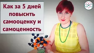 Как за 5 дней повысить себе самооценку и самоценность? (рассказывает Ева Ефремова)