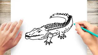 how to Draw Alligator Step by Step Easy For Kids